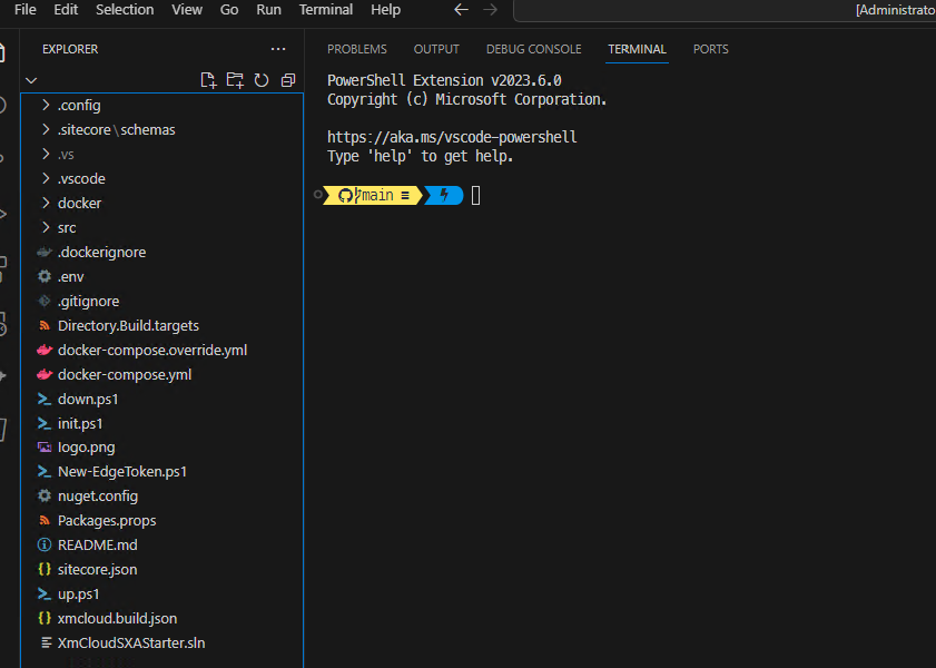 repo local copy